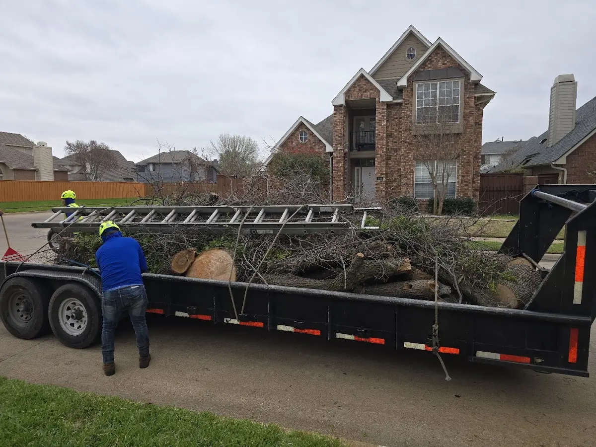 Expert Tree Pest Control with proper safety equipment in Huron
